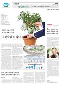 지면이미지