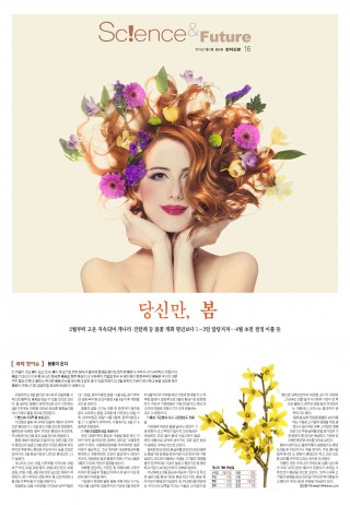 지면이미지
