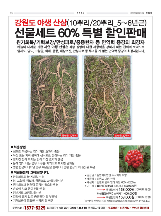 지면이미지